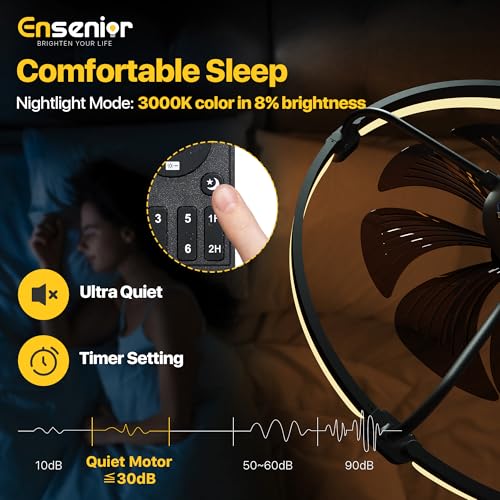 Ensenior 24 Inch Black Flush Mount Ceiling Fan with Lights & APP Control