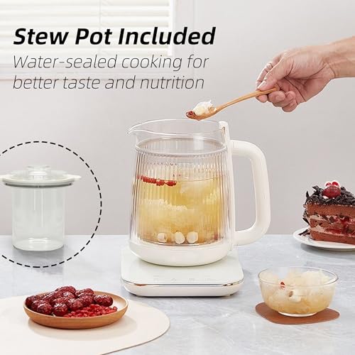 Double-Layer Glass Electric Kettle 1.5L with Stew Pot & Touch Panel - Multi-Function Tea & Soup Maker