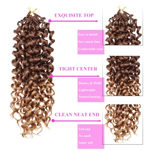 Pre Looped GoGo Curl Crochet Hair 24 Inch - 8 Packs, 33/27 Variation
