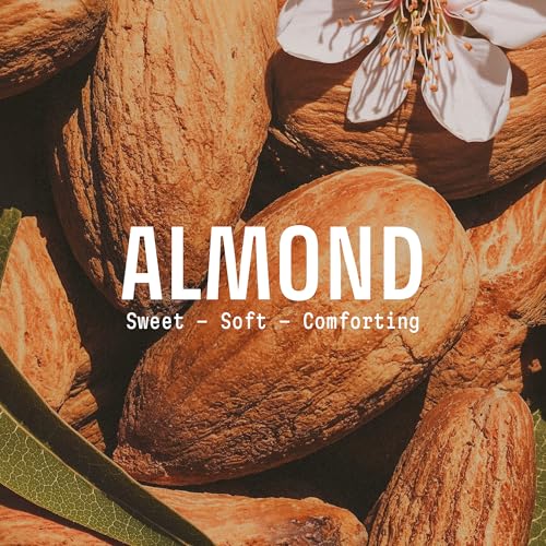Moisturizing Almond Liquid Hand Soap 16.9 fl oz - Refillable, French Tradition
