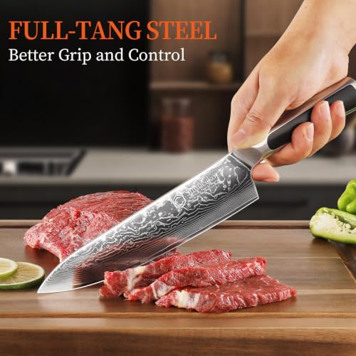 Sunnecko 8 Inch Japanese Damascus Chef Knife - VG10 Steel, Ultra Sharp