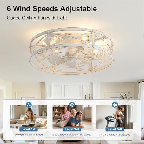 20-Inch White Gold Industrial Caged Ceiling Fan with Light & Remote