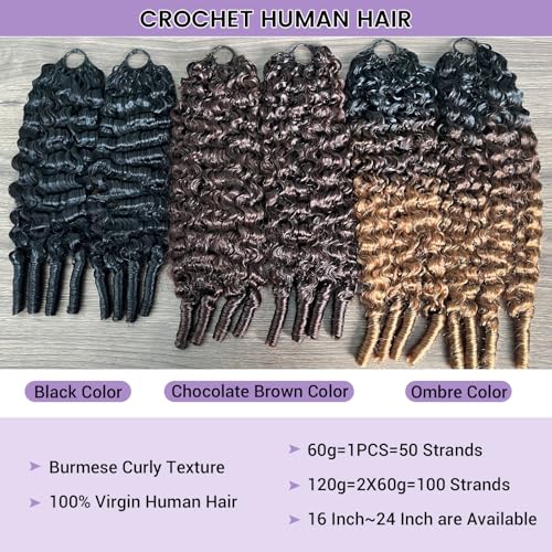 16 Inch Burmese Curly Human Hair Crochet Braids - Honey Blonde Highlights 60g