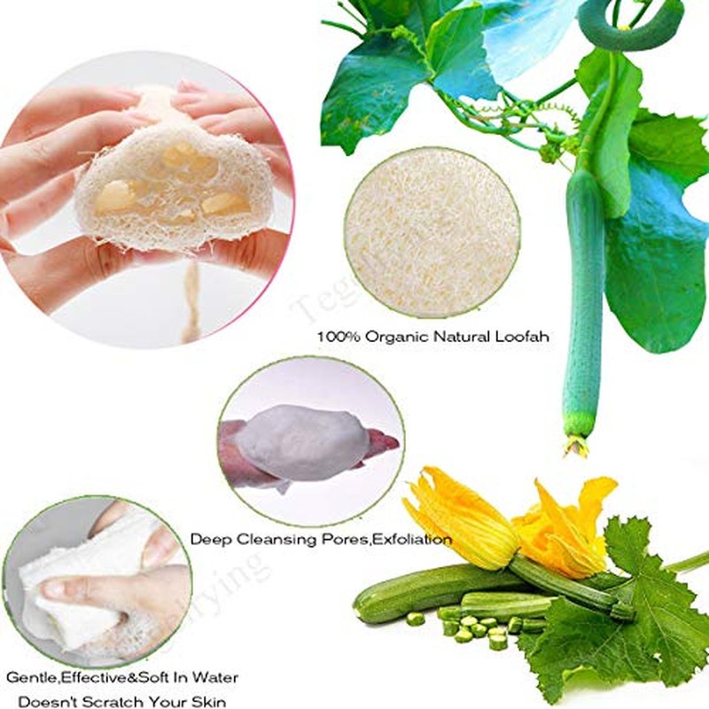 Loofah Sponge Exfoliating,6 Packs Natural Loofa Large Back Scrubber for Men Women Bath Shower Body Skin Care Cleansing Luffa 5 inches Long