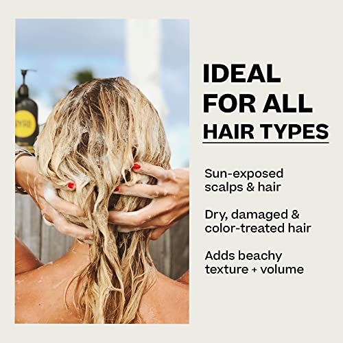 BYRD Purifying Sulfate-Free Shampoo - Gentle Daily Hair Cleanser, 16 oz - Variation of Shampoo