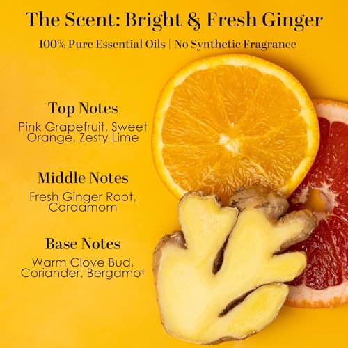 Vitamin C Brightening Body Lotion with Shea Butter and Squalane