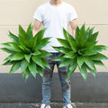 Artificial Agave Plants Outdoor Set of 2 - 28 Inch Fake Succulents for Patio & Garden, UV Resistant, Realistic Greenery - Variation: 28" Green-2