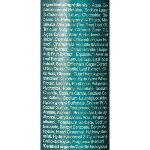 JASON NATURAL COSMETICS Tea Tree Oil Therapy Shampoo, 540 ML
