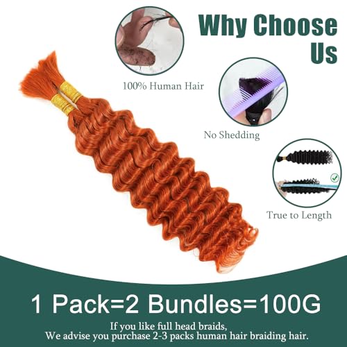 Bulk-#350 Orange Human Boho Braiding Hair 20 Inch 2 Bundles for Braids