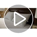 Pacific Coast Premium Goose Feather & Down Bed Pillows 2-Pack - Standard Size, Hotel Quality, Medium-Firm Support for Side & Back Sleepers