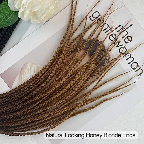 20 Inch Ombre Crochet Box Braids for Black Women - 6 Packs, 1B/30/27 Variation