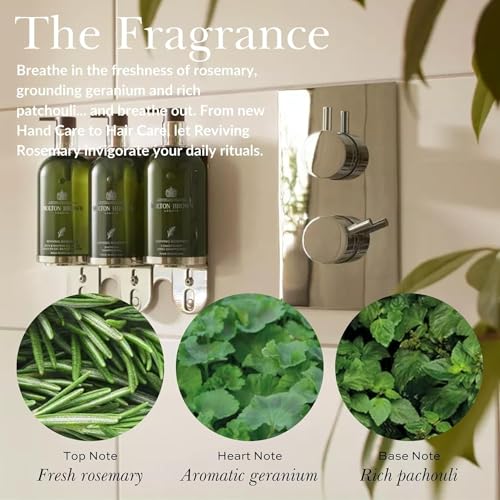 Reviving Rosemary Body Wash Oil-in-Gel - Moisturizing 10 fl oz