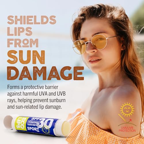 Eco Lips Classic Sport SPF 30 Broad Spectrum Sunscreen Lip Balm ? 6-Pack (Classic Vanilla) | Organic Moisturizing Lip Protection | Made in USA, Cruelty-Free Outdoor Lip Care