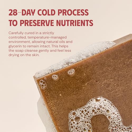Turmeric Tea Tree Ginger Body Soap Bar 4.2 oz - Exfoliating Detox Cleanse for Back & Chest - Refreshing Lather - Cold Process Handmade (Pack of 5)