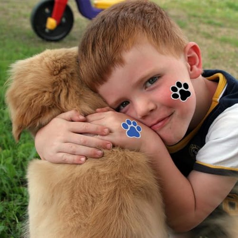 Glitter Paw Temporary Tattoos ? 360 Pre?Cut Paw Prints (30 Sheets), 6 Colors w/Silver Outline ? Party & Event Favors, Cheer & Pet Activities