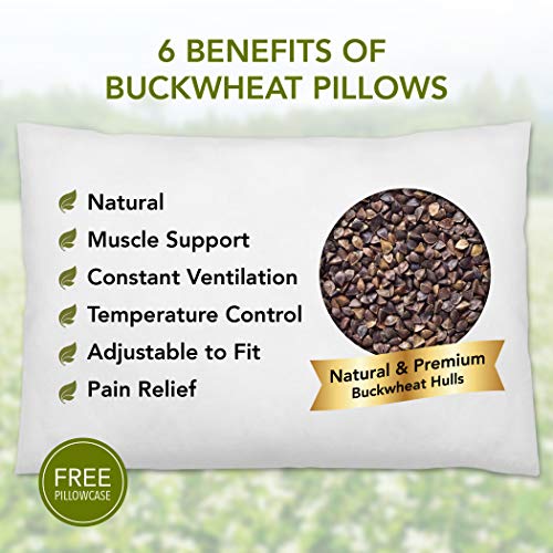 Buckwheat Pillow with Organic Cover - Sobakawa Style Neck Support Pillow - Variation 2