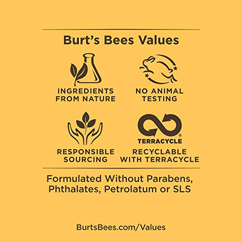 Burt's Bees 100% Natural Moisturizing Lip Shimmer, Grapefruit - 1 Tube