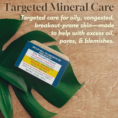 Dead Sea Warehouse ? Amazing Minerals Mud Intensive Facial Care Bar ? 5.2 OZ ? Dead Sea Mud Soap ? All Natural ? Oily Skin Deep Cleanser ? 2-Pack