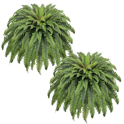 Dark Green 2-Pack 50-Inch Artificial Ferns for Outdoor & Indoor Decor
