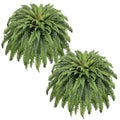 Dark Green 2-Pack 50-Inch Artificial Ferns for Outdoor & Indoor Decor