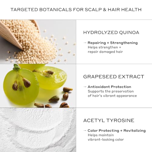 Zenagen Eclipse Gray Support Conditioner 6.75 Fl Oz - Color Preservation & Anti-Grey Formula
