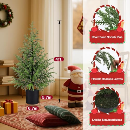 4FT Prelit Norfolk Pine Christmas Tree with 80 LED Lights - Battery Operated, 1 Pack