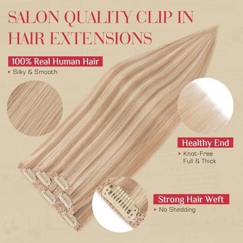 Rich Choices 10 Inch Golden Brown Highlighted Bleach Blonde Clip-In Hair Extensions - Single Clip Wefts for Thin Short Hair