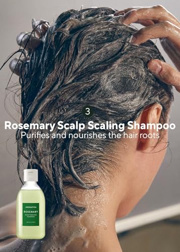 Travel Rosemary Hair Care Kit - Scalp Scrub, Shampoo & Oil Set