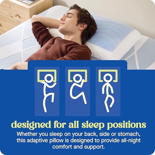 Sealy Dreamlife King Size Cooling Gel Memory Foam Pillow with Washable Cover