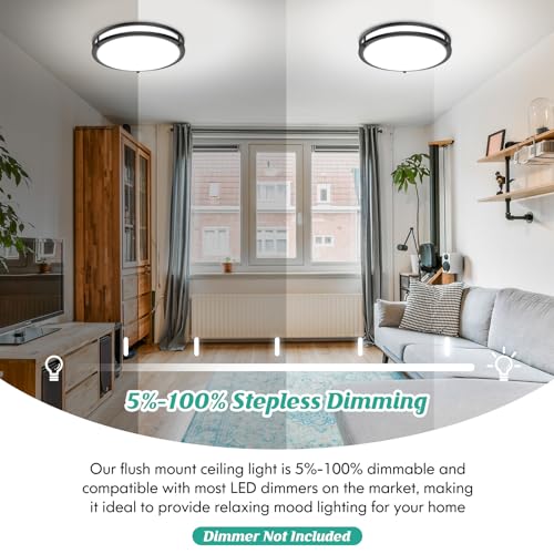 Black 16 Inch Dimmable LED Ceiling Light Fixture 50W 5CCT Stepless Adjustable