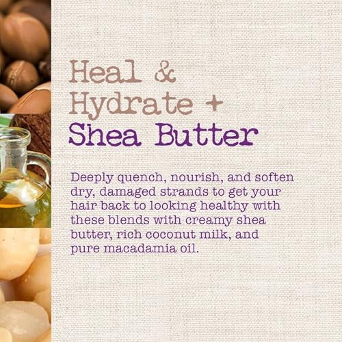 Maui Moisture Heal & Hydrate + Shea Butter Shampoo to Repair & Deeply Moisturize Tight Curly Hair with Coconut & Macademia Oils, Vegan, Silicone, Paraben & Sulfate-Free, 13 fl oz