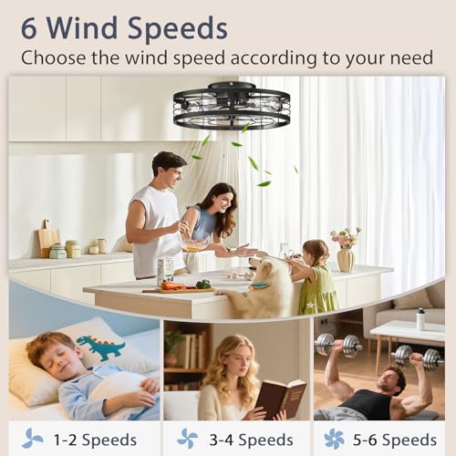 Black 19.7 Inch Caged Ceiling Fan with Light Remote Control Farmhouse Style