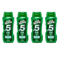Irish Spring 5-in-1 Men’s Body Wash & Shampoo Set, 4 x 20 oz - All-in-One Personal Care