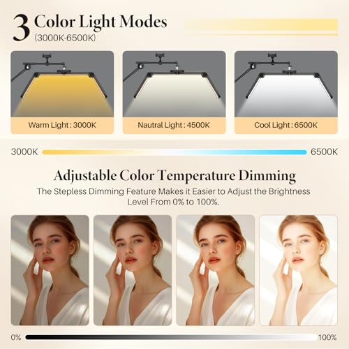 LIONVISON Half Moon Lash Light Floor LED Esthetician Lamp - Black