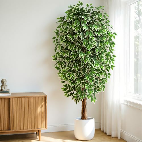 7ft Large Artificial Ficus Tree with Curved Trunk - Indoor Faux Plant, Green, Variation of THIS listing