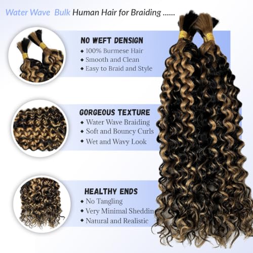 Boho Human Braiding Hair Curly 16 Inch 100G - Black & Honey Blonde