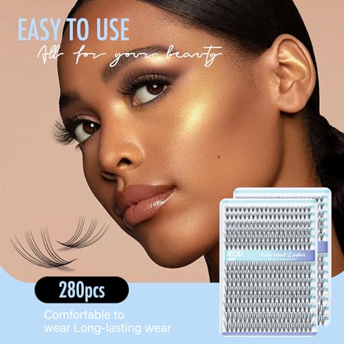 Lash Clusters Individual Lashes - 280pcs 20D Cluster lashes for DIY Lash Extensions -Super Thin & Soft Eyelashes 8-14mm C Curl Cluster Eyelash Extensions for Natural Wispy Look