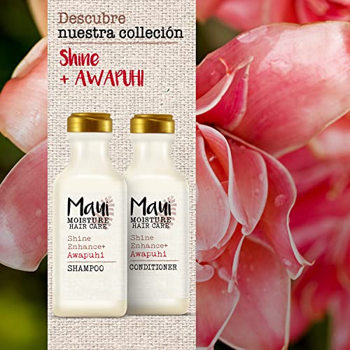 Vegan Moisturizing Shampoo for Dry Hair with Coconut & Aloe - 13 Fl Oz