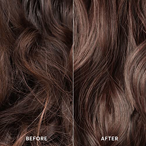 Daily Moisture Conditioner for Color-Treated Hair - 8oz - Hydrating & Nourishing
