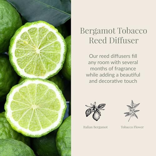 Bergamot Tobacco Reed Diffuser 7.85 fl oz - Aromatic Home Fragrance