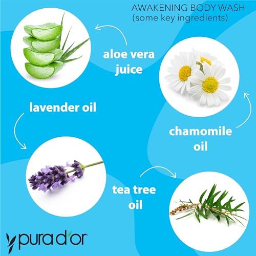 PURA D'OR Refreshing Organic Body Wash 16oz - Pack of 3, Aloe Vera & Organic Oils