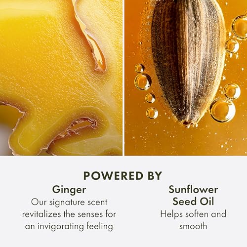 Ginger Hand & Body Lotion 6.7 Fl Oz - Hydrates & Softens with Vitamin E & Aloe Vera