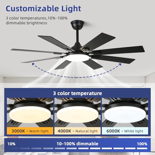 Fanyamei 52-Inch Black Ceiling Fan with Lights & Remote, Modern Farmhouse Reversible Blades