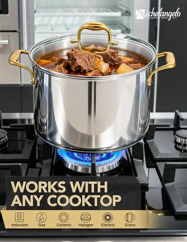20 Quart Stainless Steel Stock Pot with Lid & Handles - Heavy Duty Cooking