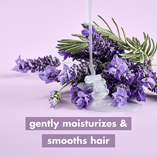 Love Beauty and Planet Argan Oil and Lavender Sulfate-Free Shampoo for Frizz Control - 13.5 oz