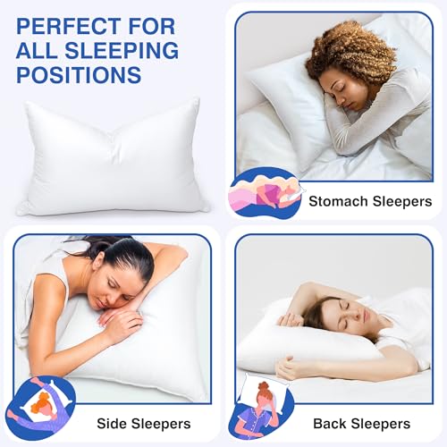 Queen Size Feather Pillow Set of 2 - Hotel Down Support & Softness