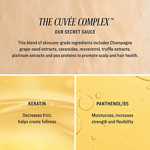 Cuvee Champagne-Infused Hair Shampoo 10 Fl Oz - Strength & Shine, Color Safe - Includes Vitamin B & Ceramides - Pack of 1