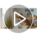 Artificial Cattail Reed Grass 3ft - 2 Pack Indoor Outdoor Faux Onion Grass