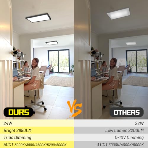LED Flat Panel Light 2-Pack 24W Dimmable Surface Mount Ceiling Lights 5CCT