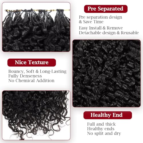 LOLly Hair 1B #/14 Inch Invisible Knots Feather Crochet Hair 110g Pre-Looped for Burmese Curly & Natural Style